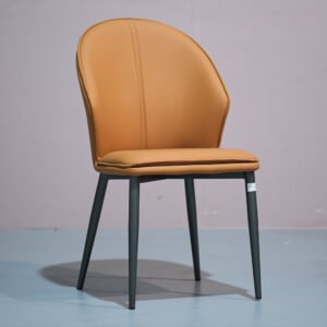 Modern Luxury Leather Dining Chairs