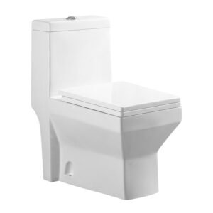 Single Piece S-Trap Toilet 250MM - White (6184)