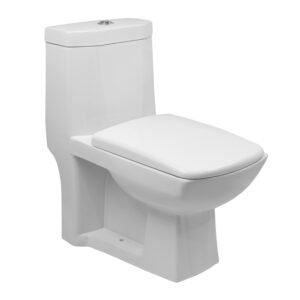 Single Piece S-Trap Toilet 700x380x755mm - White (6352)