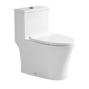 Single Piece S-Trap Toilet 685x400x700mm - White (6291)