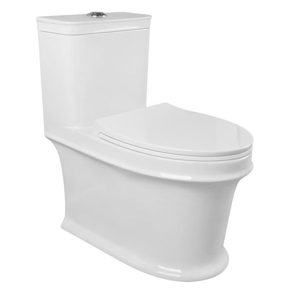 Floor Mount Single Piece S Trap Toilet 250MM - White (6279)