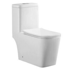 Single Piece S-Trap Toilet 680x365x780mm White (6264)