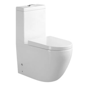 Single Piece S-Trap Toilet 250MM - White (6299)