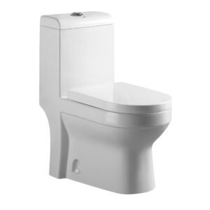 Single Piece S-Trap Toilet 710x365x800mm - White (6171)