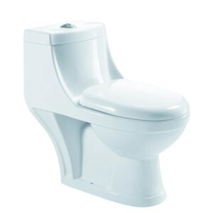 Single Piece S-Trap Toilet 700x370x660mm - White (5527-6052)