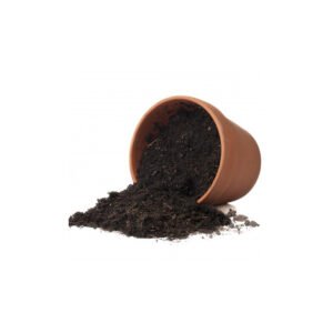 organic potting soil qatar