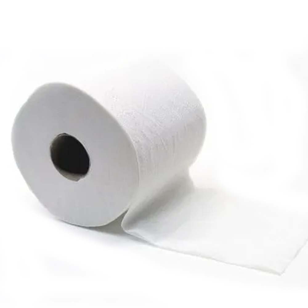 Toilet Tissue Economy
