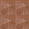 Walnut Crown Veneer