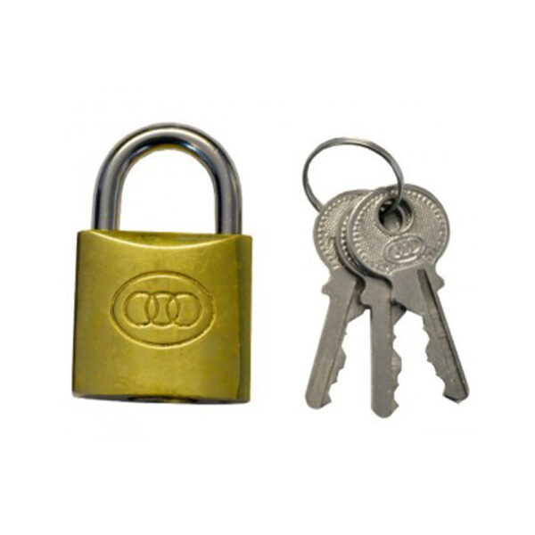 speed-25mm-gold-plated-padlock