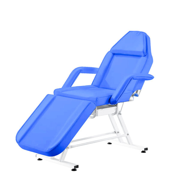 Multi-function Massage Bed Facial Chair