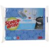 Non Scratch Scrub Sponge