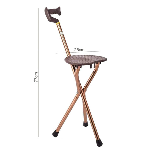 Walking Cane Stool For The Elderly