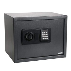 Ace Electronic Safe