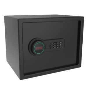 Ace Electronic Safe