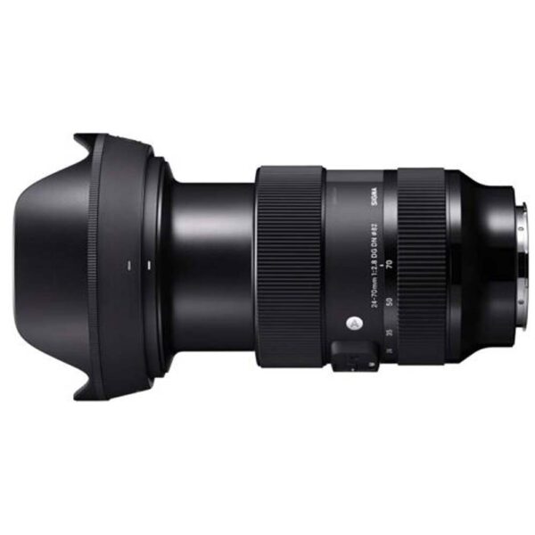 DG DN lens