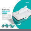 facial-economy-2005-2ply-5pcs-x-6packets-180x180