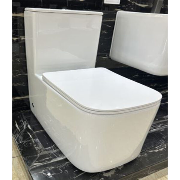 Toilet S-trap 250mm UF Seat Cover White