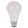 Frosted LED Classic A Bulb