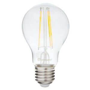 Filament LED Bulb